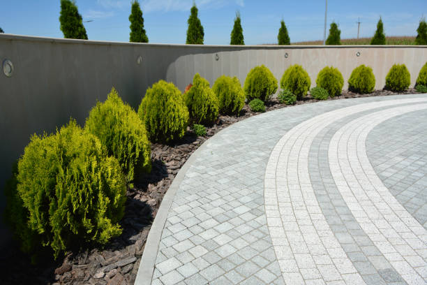 Best Affordable Driveway Pavers  in Riverside, IL
